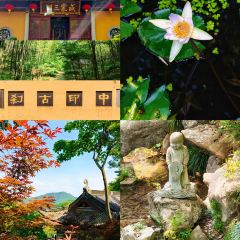 外婆的味道私房餐厅 User Photo