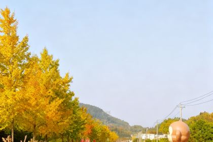 祁小猴驿站 茶咖·餐厅