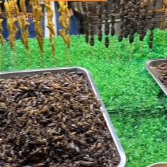 MANFEILONG User Photo