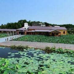 杨氏豆花 User Photo