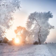 Shunji Traditional Cold Noodles 여행 사진