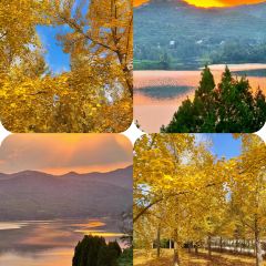 WEIDAOJIA MAMACAI User Photo