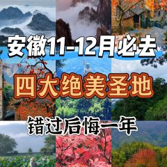 靈山酒釀張用戶圖片