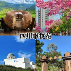 Songyanhua Restaurant User Photo