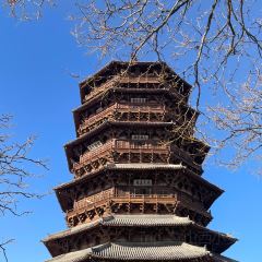 XINJIN TAO User Photo