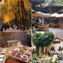 老媽生態餐廳張用戶圖片