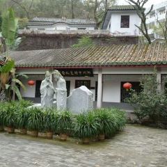 老炳·七丛松甘草水果 User Photo