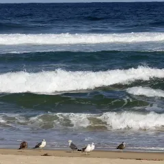 悬崖咖啡厅 User Photo