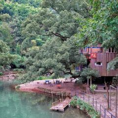 LAO TAI PO FAN DIAN 여행 사진
