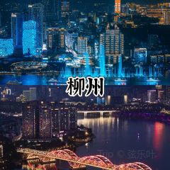 柳州五星步行街怡程酒店·金惠大酒楼(连塘店) User Photo