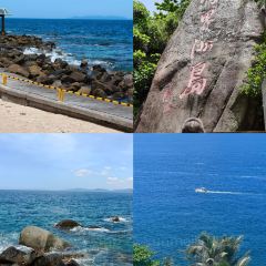 dan jia yu pai User Photo