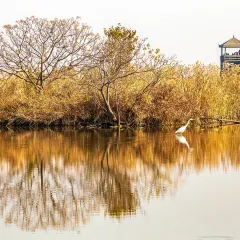 竹林大饭店 User Photo