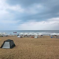 赶海归来·肥蛤·海鲜烧烤(韩乐坊店) User Photo