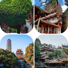 王莊阿咪大牌檔 （省體店）張用戶圖片
