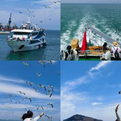 成山头裕福祥渔家乐 User Photo