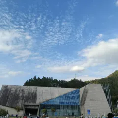 陶姐冷粉張用戶圖片