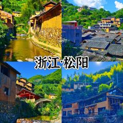 飞茑集樢咖啡 User Photo