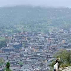 猪圈咖啡屋 User Photo