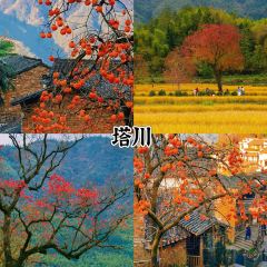 靈山酒釀張用戶圖片