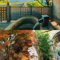 THE HOUSE OF RONG User Photo