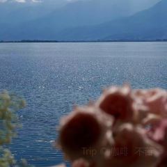 大理安汋海景酒店·餐厅 여행 사진