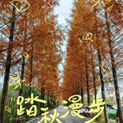 小竹林 User Photo