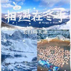 Shunji Traditional Cold Noodles User Photo