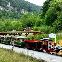 XIANG WEI CUN GU CHANG CAI User Photo