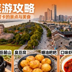 BEN LUO BO CAN YIN User Photo