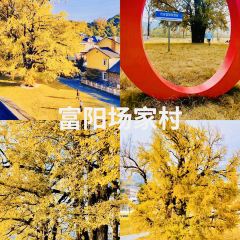 LIN SHANG REN JIA User Photo