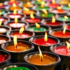 ZHUSANTIANPIYA User Photo