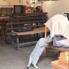 胜利饭店(沈荡店) 여행 사진