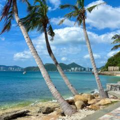 BZK·SEAFOOD User Photo