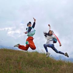 卧龙山中酒寨 User Photo