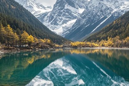 正宗会理鸡火丝(龙眼井店)