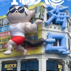 SNT&TEA 여행 사진