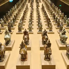 XINJIN TAO 여행 사진