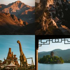 张林阿山姜母鸭(泉州新华北路店) 여행 사진