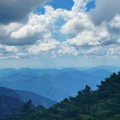 灵山酒酿 User Photo