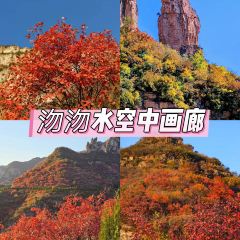 白家缸炉烧饼 User Photo