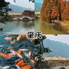 Xiexi Street Shaomai Shop User Photo