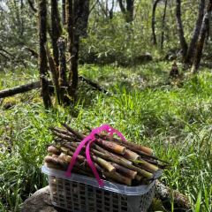 孟获城向野而眠帐篷营地·户外餐厅 User Photo