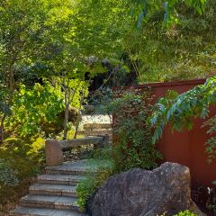 BU KONG SHAN User Photo