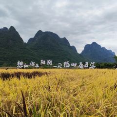 一尺稻田咖啡 User Photo