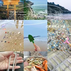 老四海鲜家常菜(中山西路店) User Photo