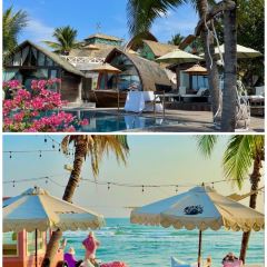 dan jia yu pai User Photo