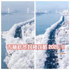 Shunji Traditional Cold Noodles User Photo