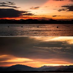 dan jia yu pai User Photo