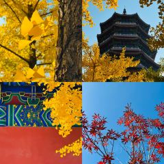 CHUN TAI SHOU ZHUA 여행 사진