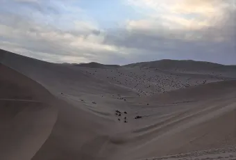 李广记杏皮茶 여행 사진